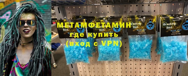 индика Нижний Тагил